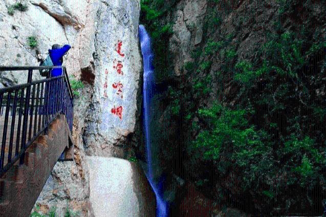 田间管护正当时 阳春三月花似海